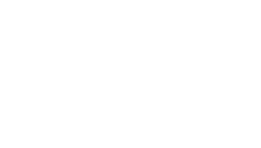 EBT Bearings